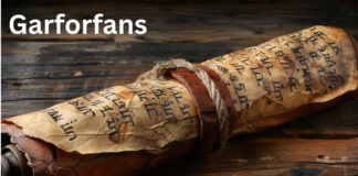 Callscroll.com: The Ultimate Guide to Understanding Its Purpose, Features, and Real Benefits Callscroll.com