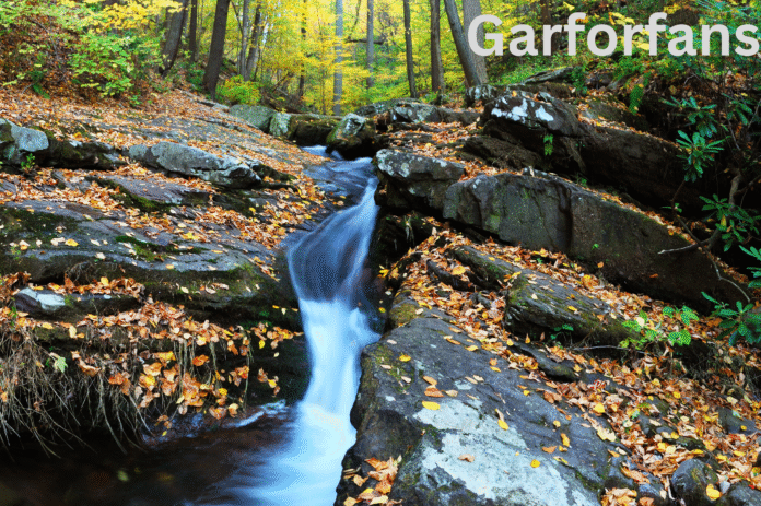 Ruisseau d'avenelle Ruisseau d'avenelle