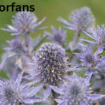 Rystleistle: The Emerging Concept Redefining Modern Creativity, Innovation & Digital Identity Rystleistle