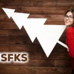 Wjsfks: A Fully Updated and Comprehensive Guide to the Emerging Digital Concept Wjsfks