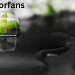 Hygropack: A Complete and Updated Guide to Modern Moisture Control Hygropack