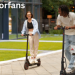 Vyxorith Thalorind: Unlocking the Power of the Immaculate Grid Vyxorith thalorind