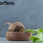 Klemroot Explained: How Immaculate Grid Is Changing the Way We Think Klemroot