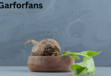 Klemroot Explained: How Immaculate Grid Is Changing the Way We Think Klemroot